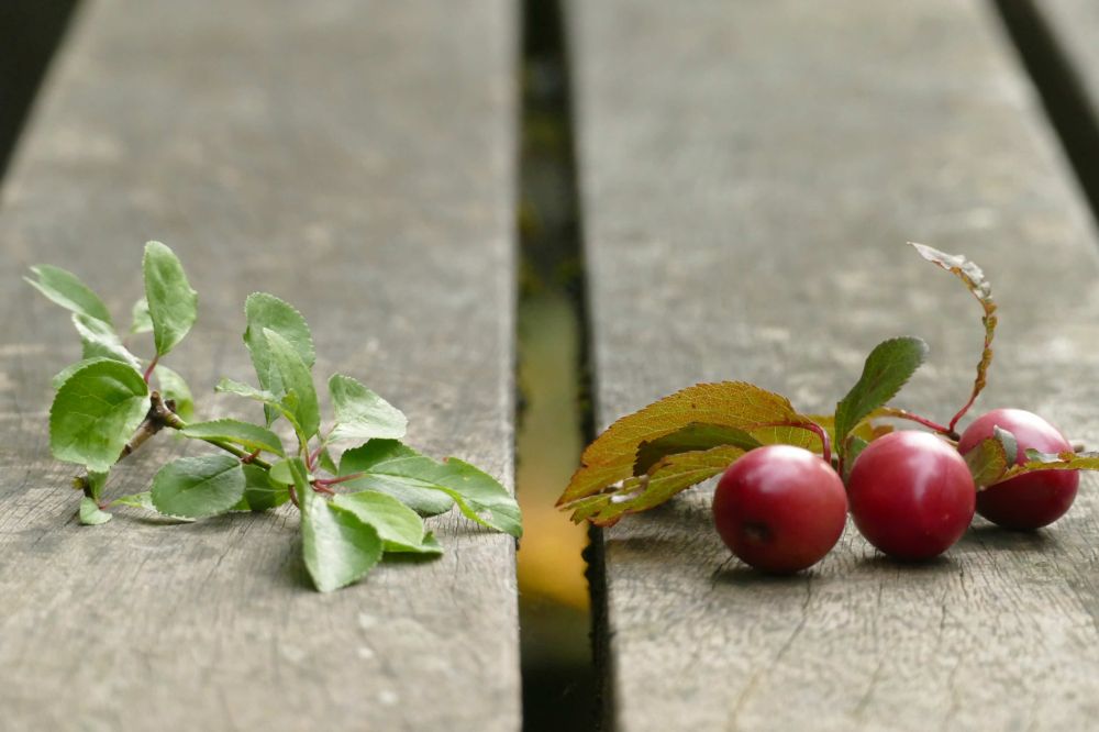 Platz 2   2   P1090681